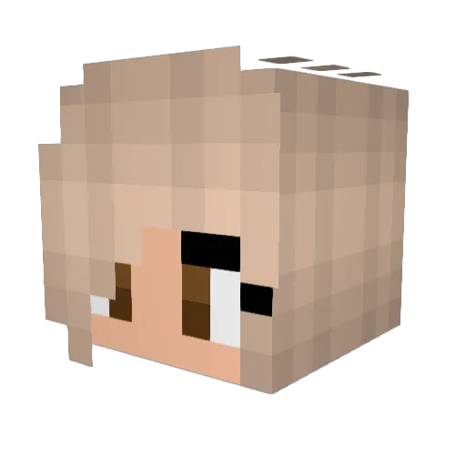 AvidLime229558 Minecraft avatar head, 3D render
