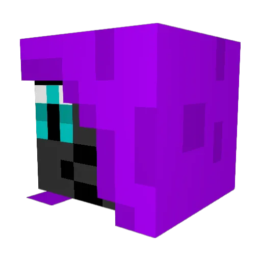 Avienal Minecraft avatar head, 3D render