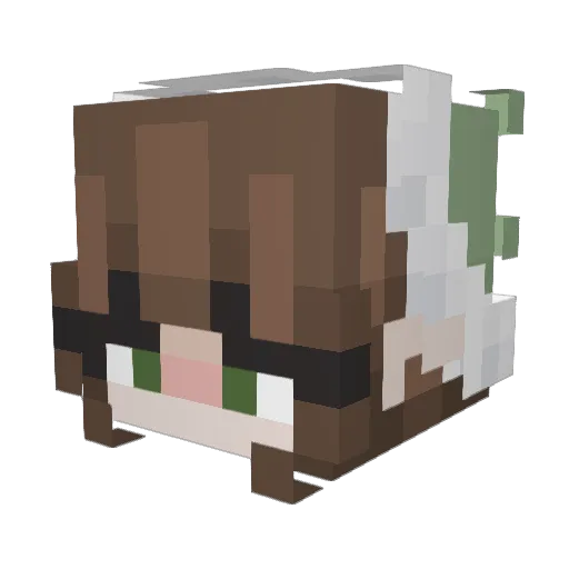 Aviendha1414 Minecraft avatar head, 3D render