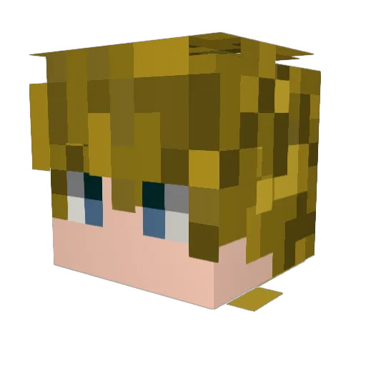 Avikkz12 Minecraft avatar head, 3D render