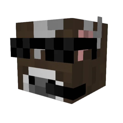 AvinG028 Minecraft avatar head, 3D render