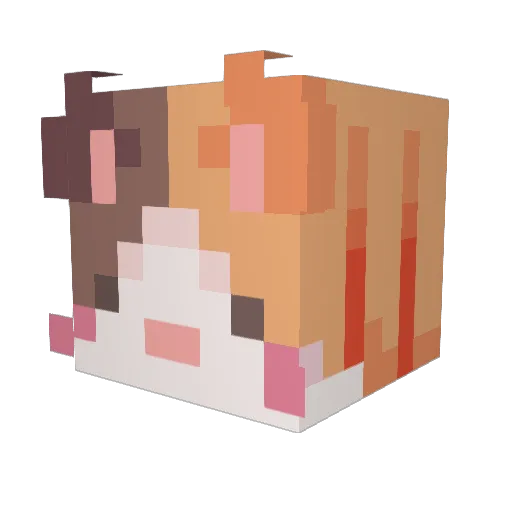 Avindex Minecraft avatar head, 3D render