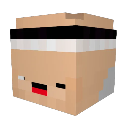 Avinity_ Minecraft avatar head, 3D render