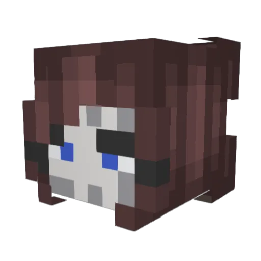 Avioris Minecraft avatar head, 3D render