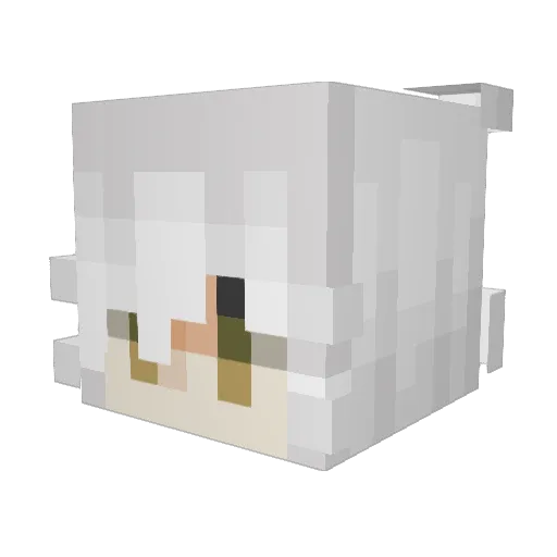 Avishkar_ Minecraft avatar head, 3D render