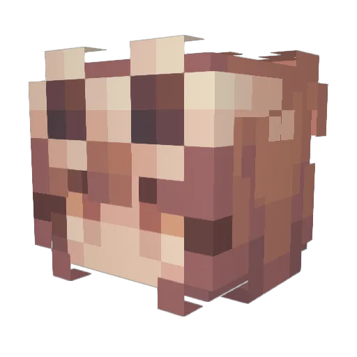 Avisss275 Minecraft avatar head, 3D render