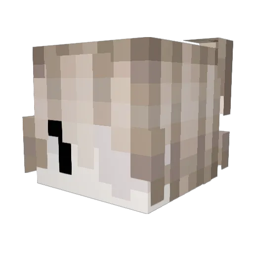 Avixx_ Minecraft avatar head, 3D render