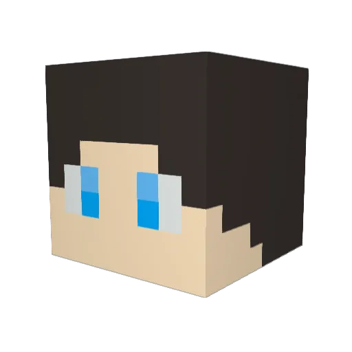Aviyl Minecraft avatar head, 3D render