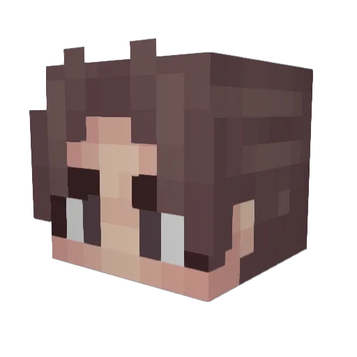 Avler_cutter Minecraft avatar head, 3D render