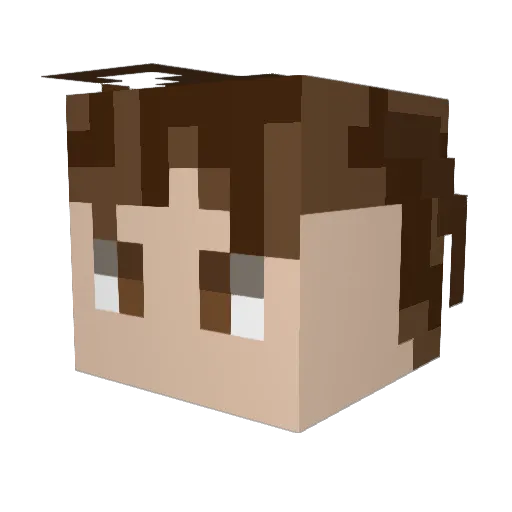 Avner_2311 Minecraft avatar head, 3D render