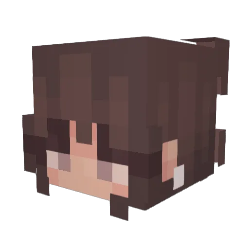 Avocado1219 Minecraft avatar head, 3D render