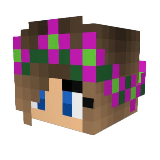 AvocadoAnniee Minecraft avatar head, 3D render