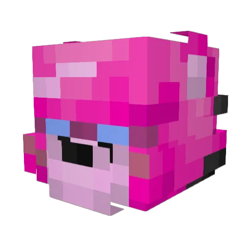 AvocadoFreedom Minecraft avatar head, 3D render