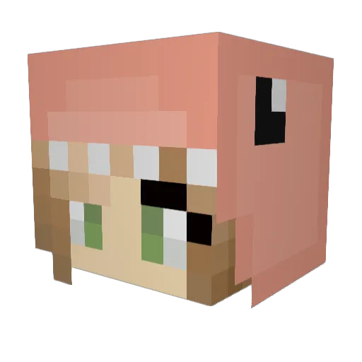 AvocadoToast73 Minecraft avatar head, 3D render