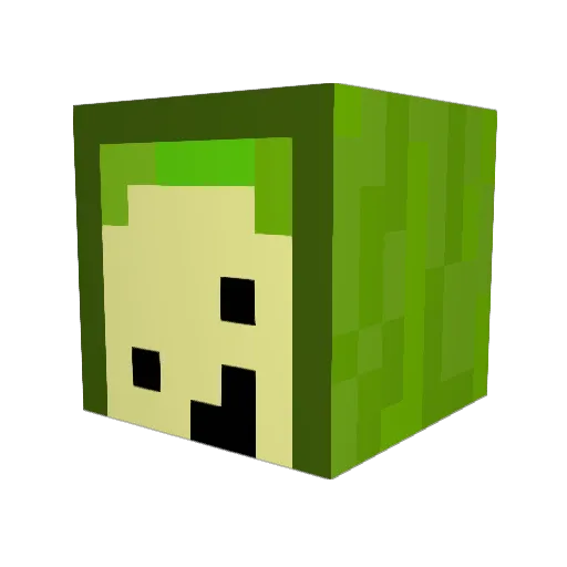 Avocado_223 Minecraft avatar head, 3D render