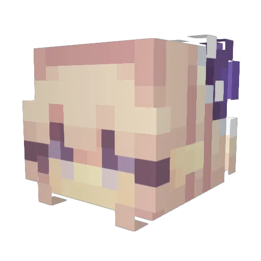 Avocadocat1102 Minecraft avatar head, 3D render