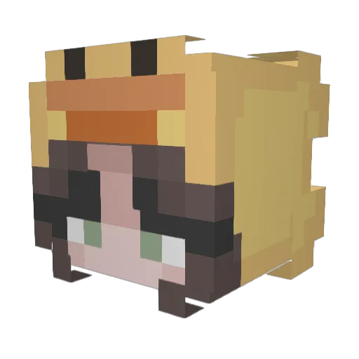 Avocadogirl745 Minecraft avatar head, 3D render