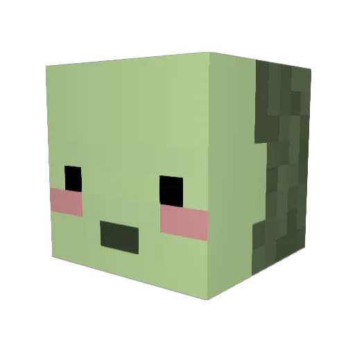 AvocadosT_T Minecraft avatar head, 3D render