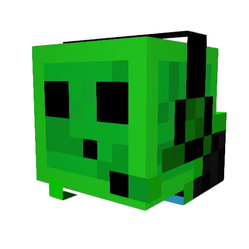 Avocadotoast343 Minecraft avatar head, 3D render