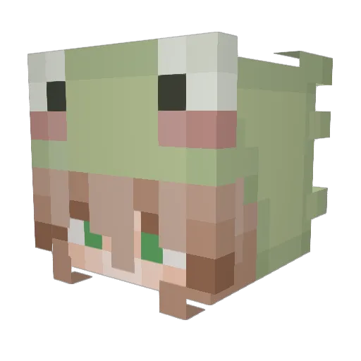 Avocatoess17 Minecraft avatar head, 3D render