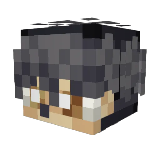 Avogodo_ Minecraft avatar head, 3D render