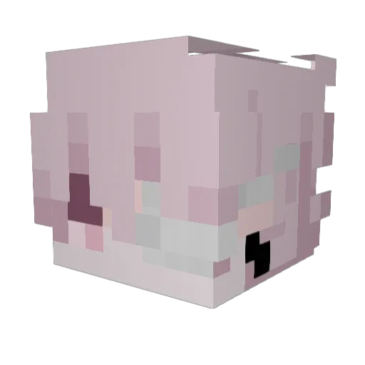 Avoid_8i Minecraft avatar head, 3D render