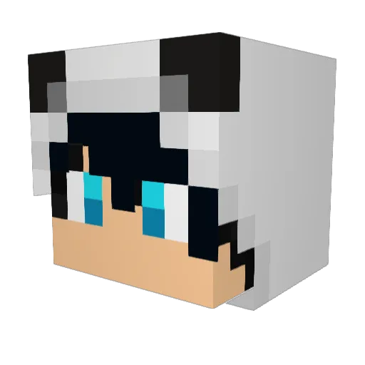 Avoid_rex Minecraft avatar head, 3D render