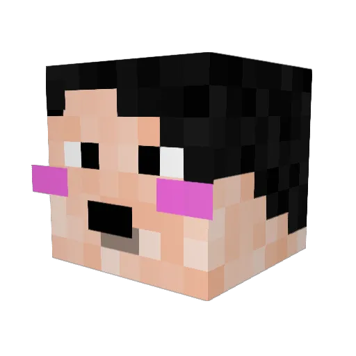 AvoidedAlpaca42 Minecraft avatar head, 3D render
