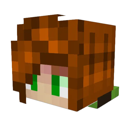AvokadikXD Minecraft avatar head, 3D render