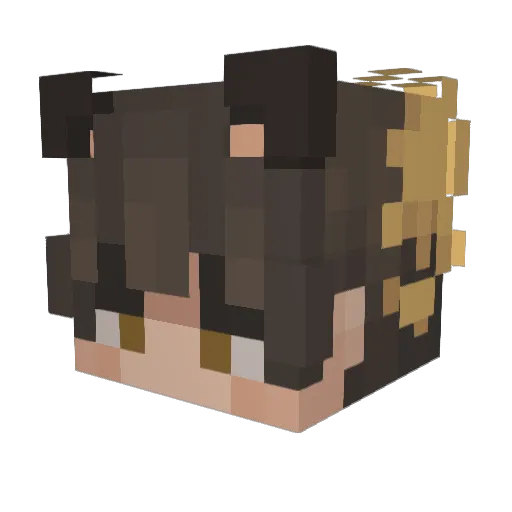 Avoracity Minecraft avatar head, 3D render