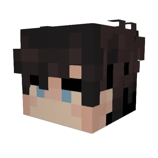 AvroVulcan698 Minecraft avatar head, 3D render