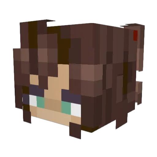 Avtr417 Minecraft avatar head, 3D render