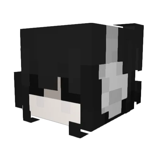 Avva1 Minecraft avatar head, 3D render