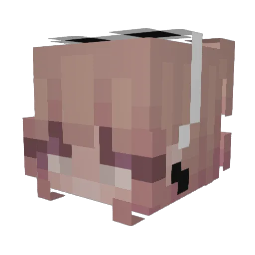 Avvrial Minecraft avatar head, 3D render
