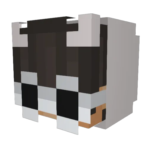 Avxryduhh Minecraft avatar head, 3D render