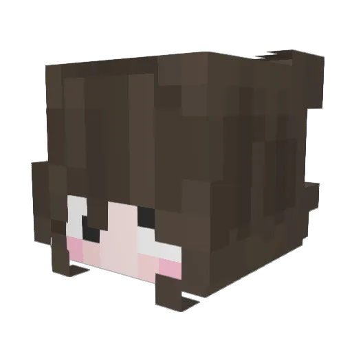 AvyWka Minecraft avatar head, 3D render