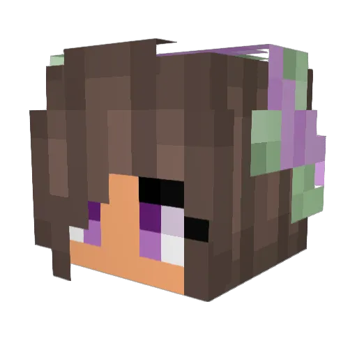 Avyanna4 Minecraft avatar head, 3D render