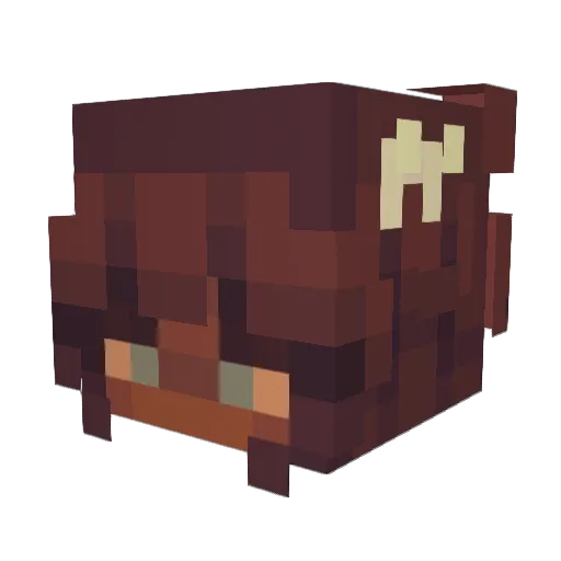 Aw0Kad0 Minecraft avatar head, 3D render