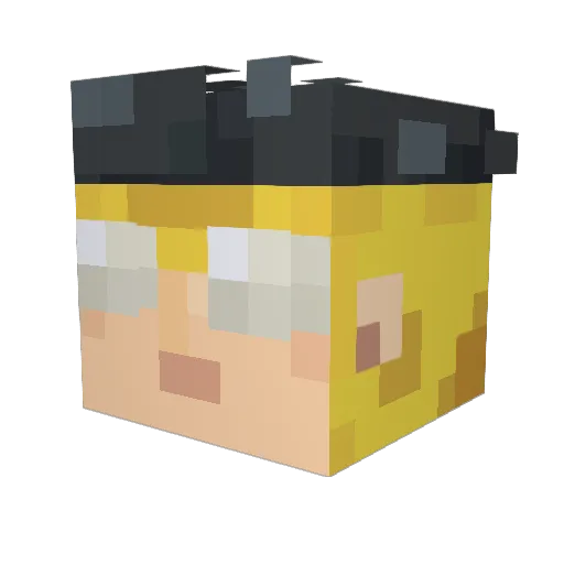 AwakeOpossum711 Minecraft avatar head, 3D render
