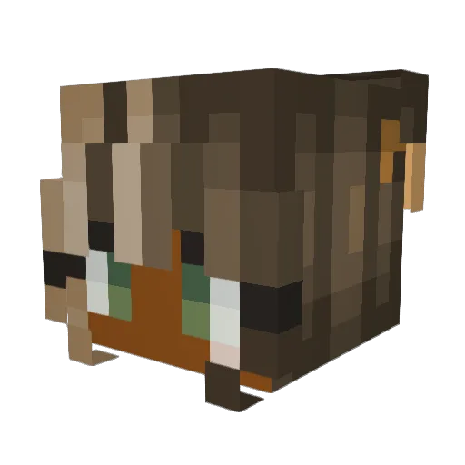 AwakenPhoenix3 Minecraft avatar head, 3D render