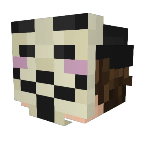 AwakenedOutlaw Minecraft avatar head, 3D render