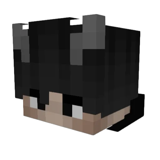 Awakened_Gon Minecraft avatar head, 3D render