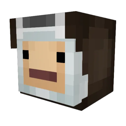AwareKibbles3 Minecraft avatar head, 3D render
