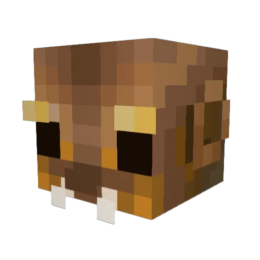 AwawusTheEnderus Minecraft avatar head, 3D render