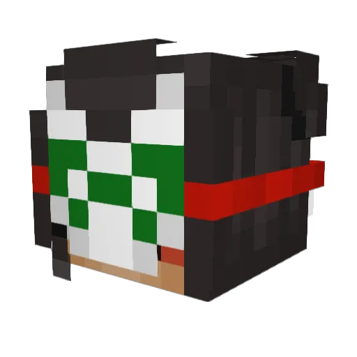 Aweom286 Minecraft avatar head, 3D render
