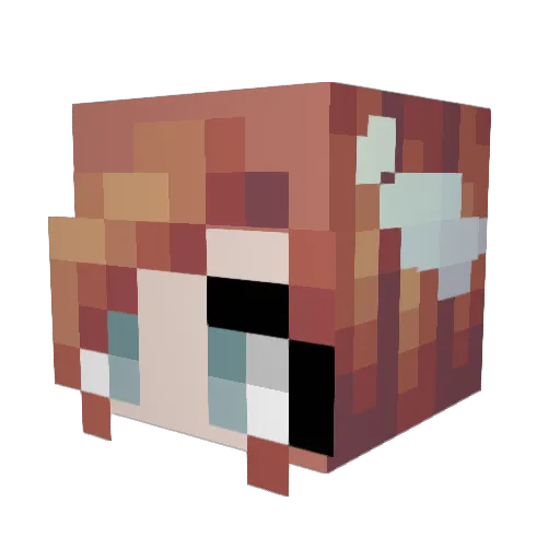Awerywana Minecraft avatar head, 3D render