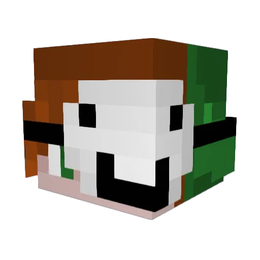 Awes0m3LD Minecraft avatar head, 3D render