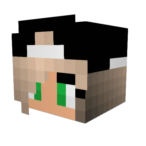 Aweseome_A Minecraft avatar head, 3D render