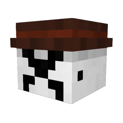 AwesomPossum Minecraft avatar head, 3D render