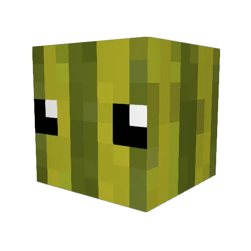 Awesome2011 Minecraft avatar head, 3D render